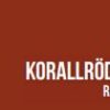 Takplåt - TR 20 - Korallröd 736 - Bild 3